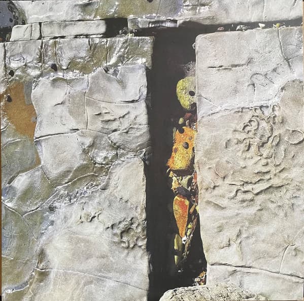 OAK CORRIDOR  — TROTH | Vinilo