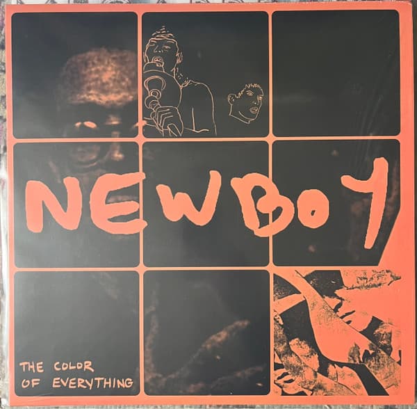 The Color Of Everything — Newboy | Vinilo