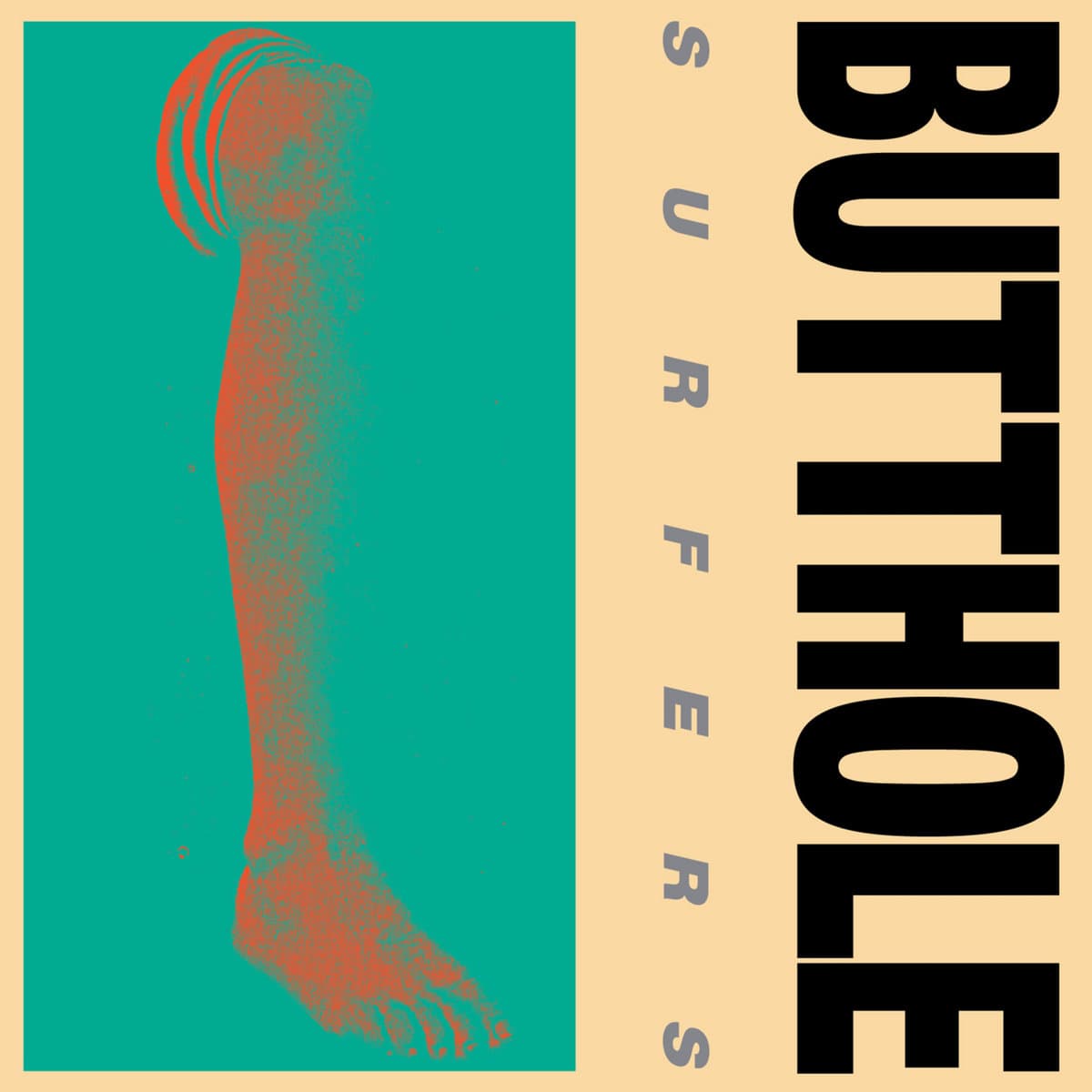 REMBRAND PUSSYHORSE — BUTTHOLE SURFERS | Vinilo