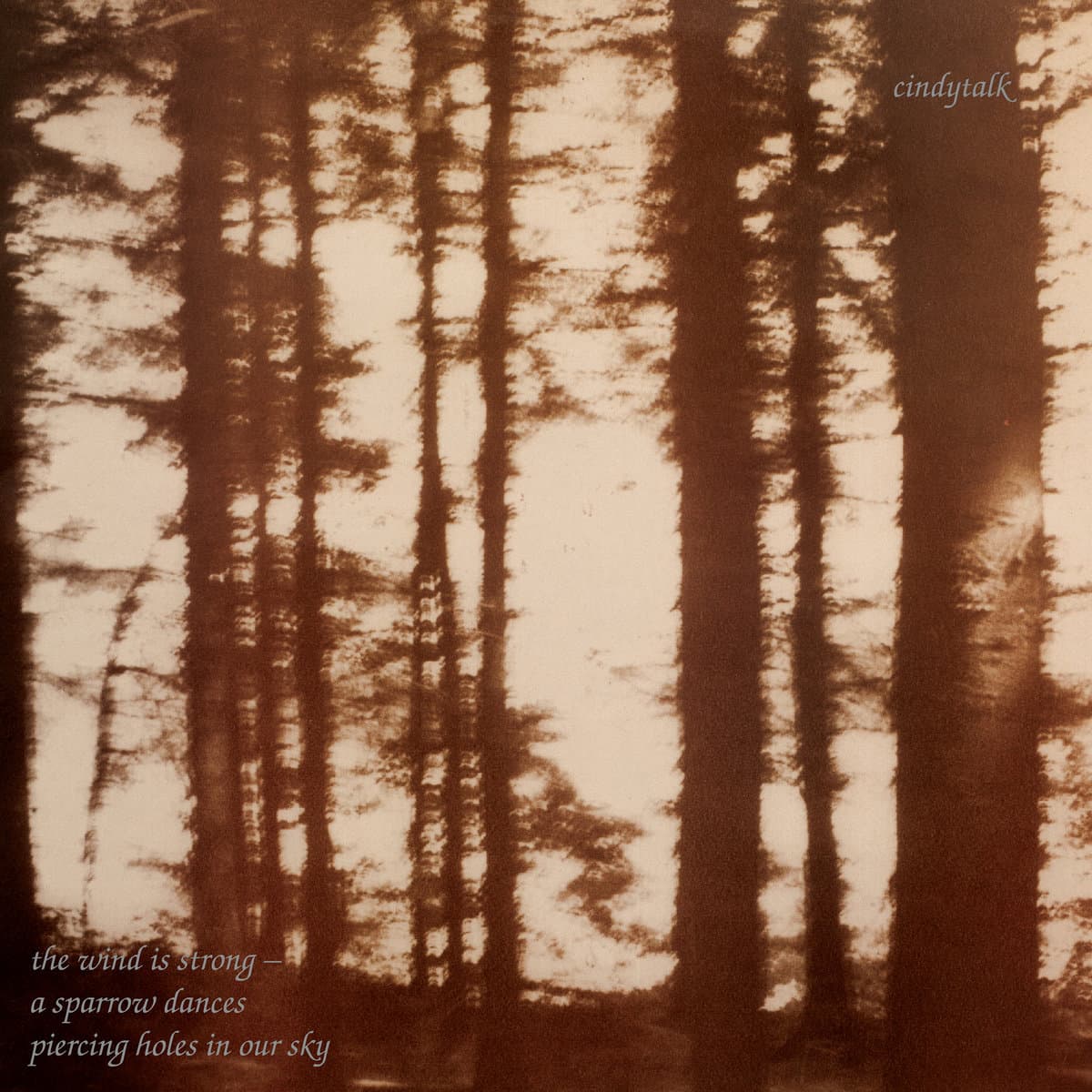 THE WIND IS STRONG — CINDYTALK | Vinilo