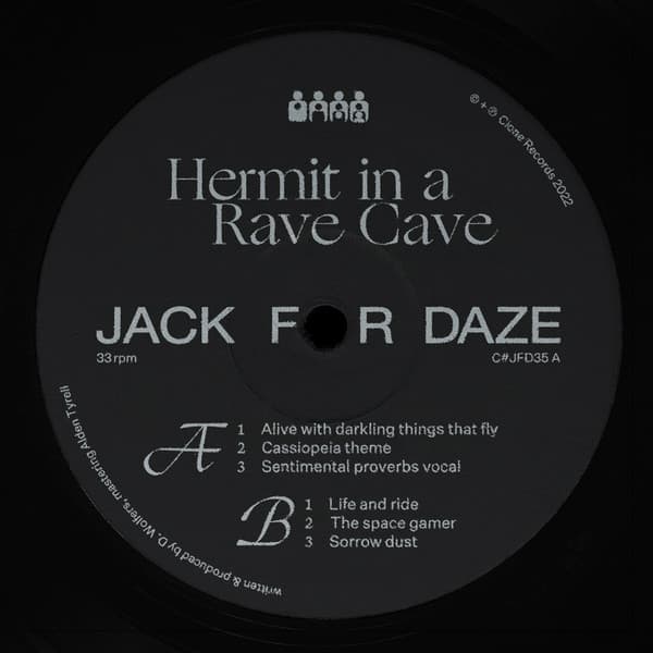 Hermit In a Rave Cave  — HERMIT IN A RAVE CAVE | Vinilo