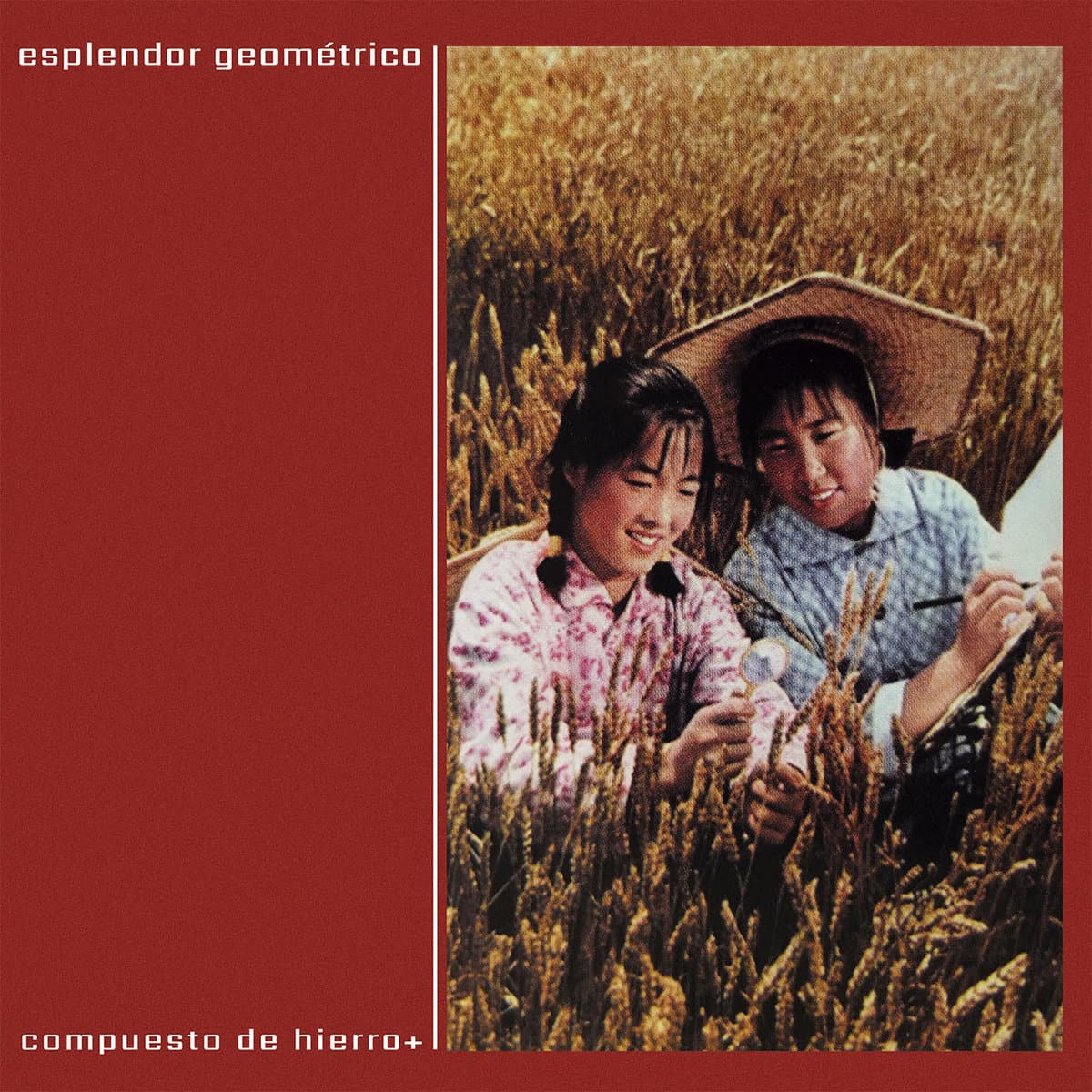 COMPESTO DE HIERRO — ESPLENDOR | Vinilo