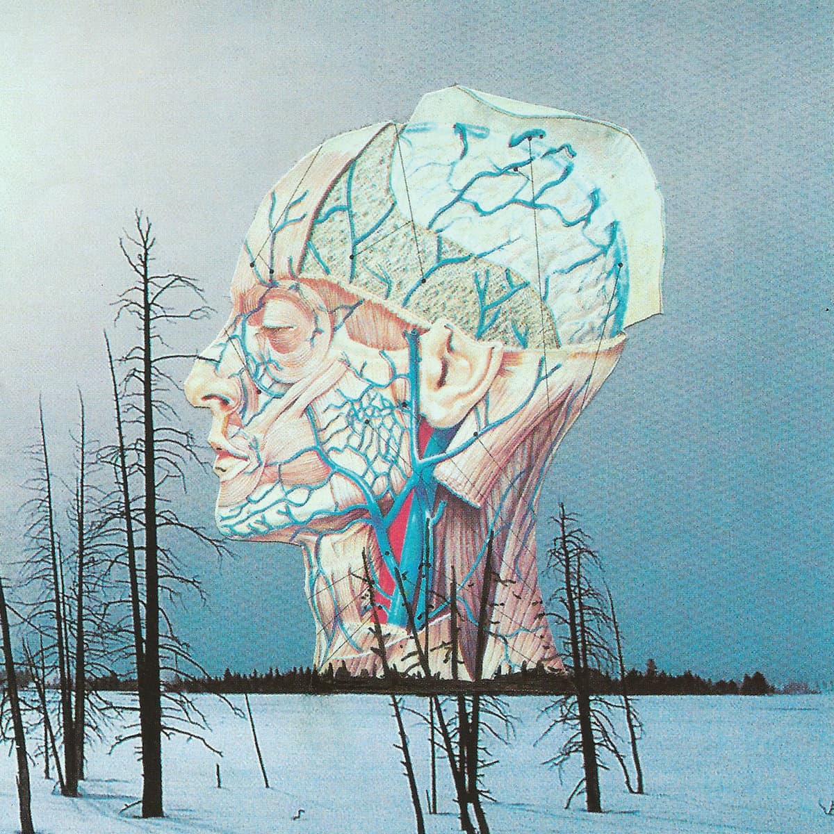 SONGS FOR A DEAD PILOT — LOW | Vinilo