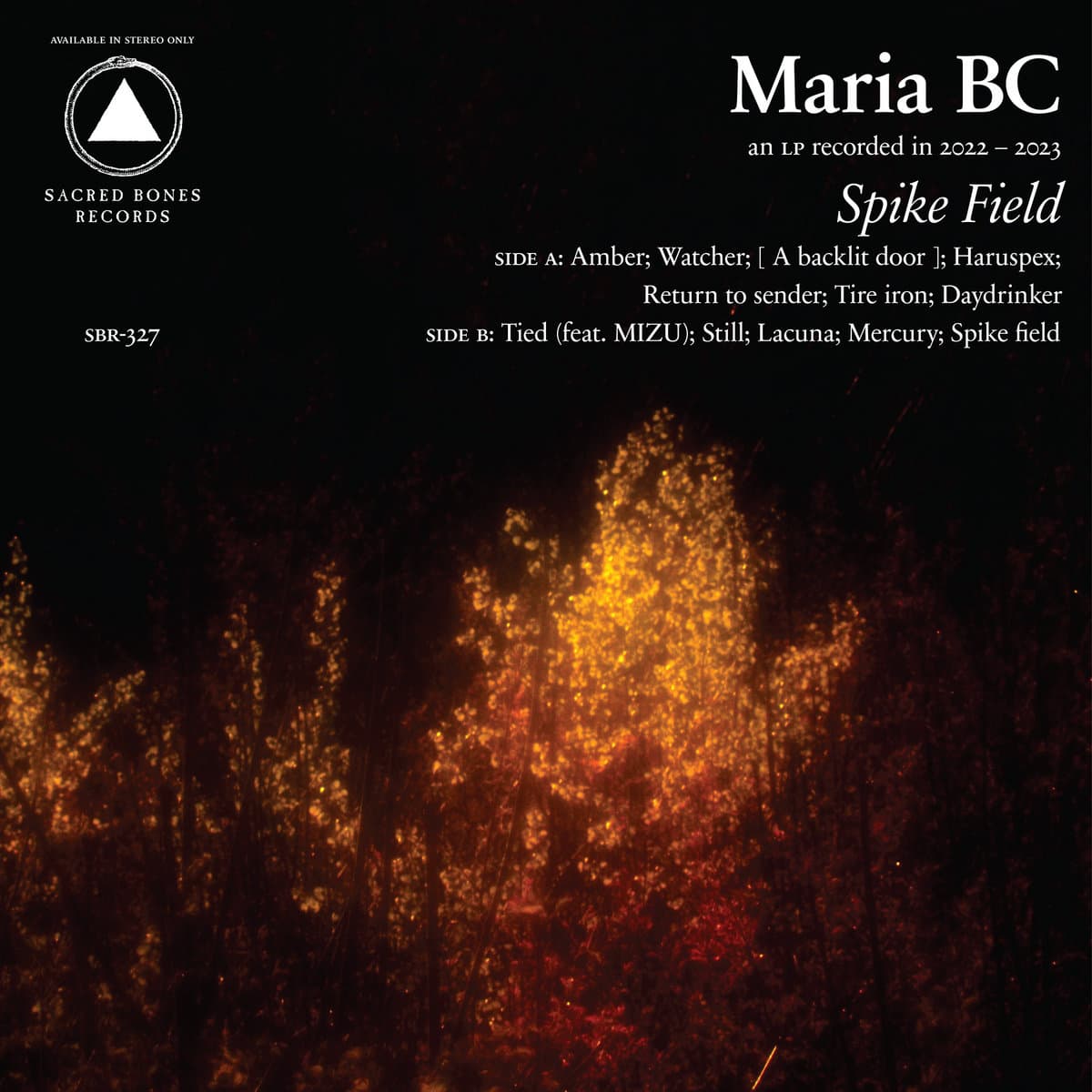 SPIKE FIELD — MARIA BC | Vinilo
