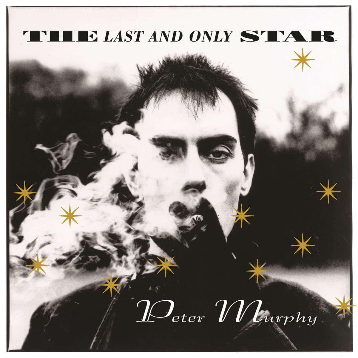 THE LAST AND ONLY STAR — PETER MURPHY | Vinilo