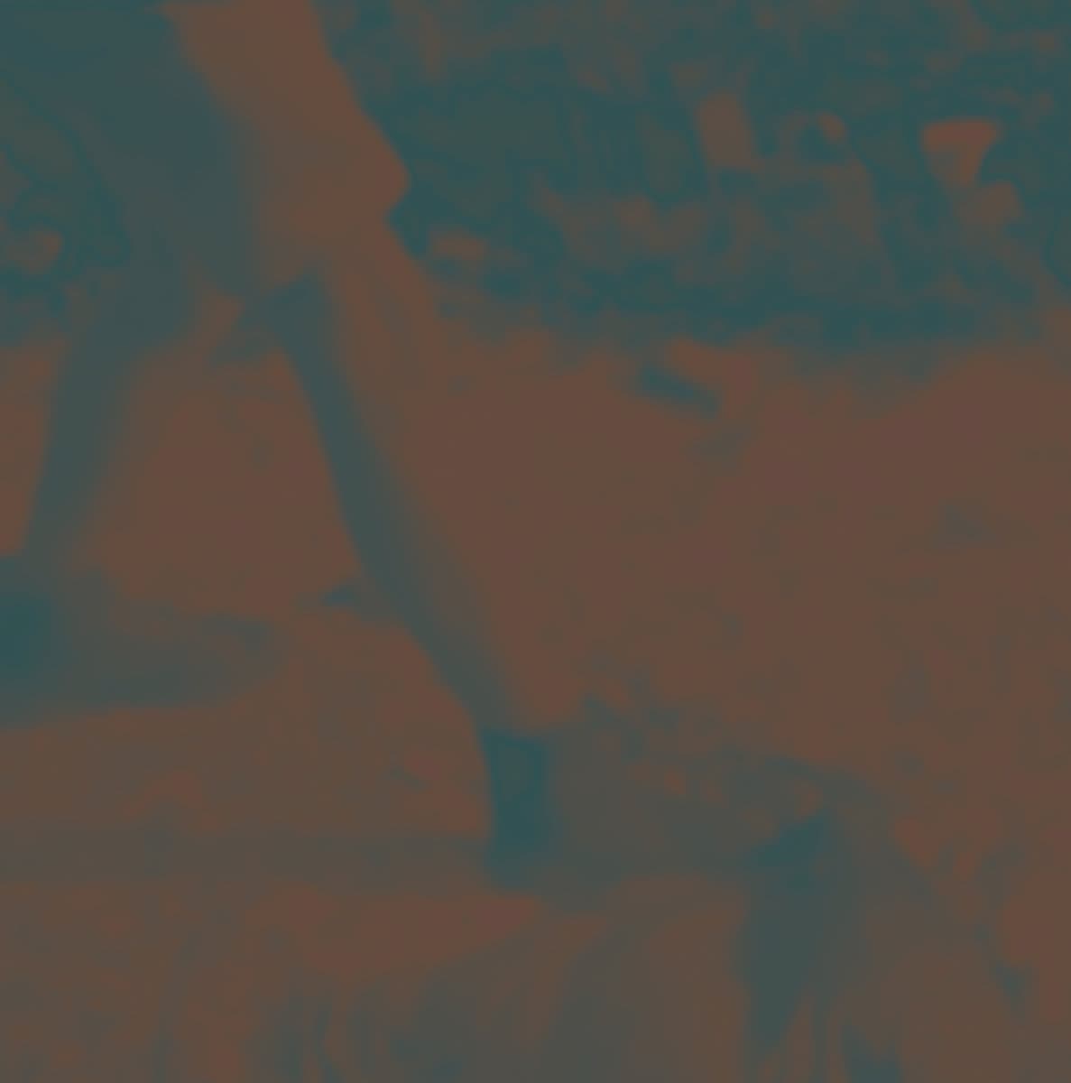 RITUAL HOWLS — RITUAL HOWLS | Vinilo