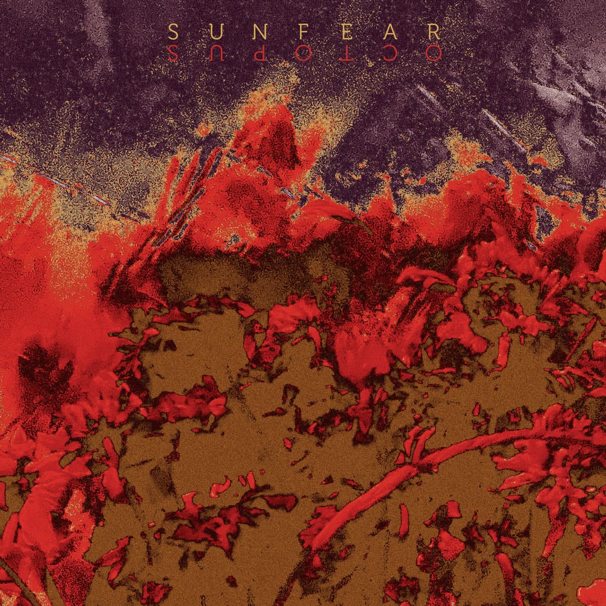 OCTOPUS — SUNFEAR | Vinilo