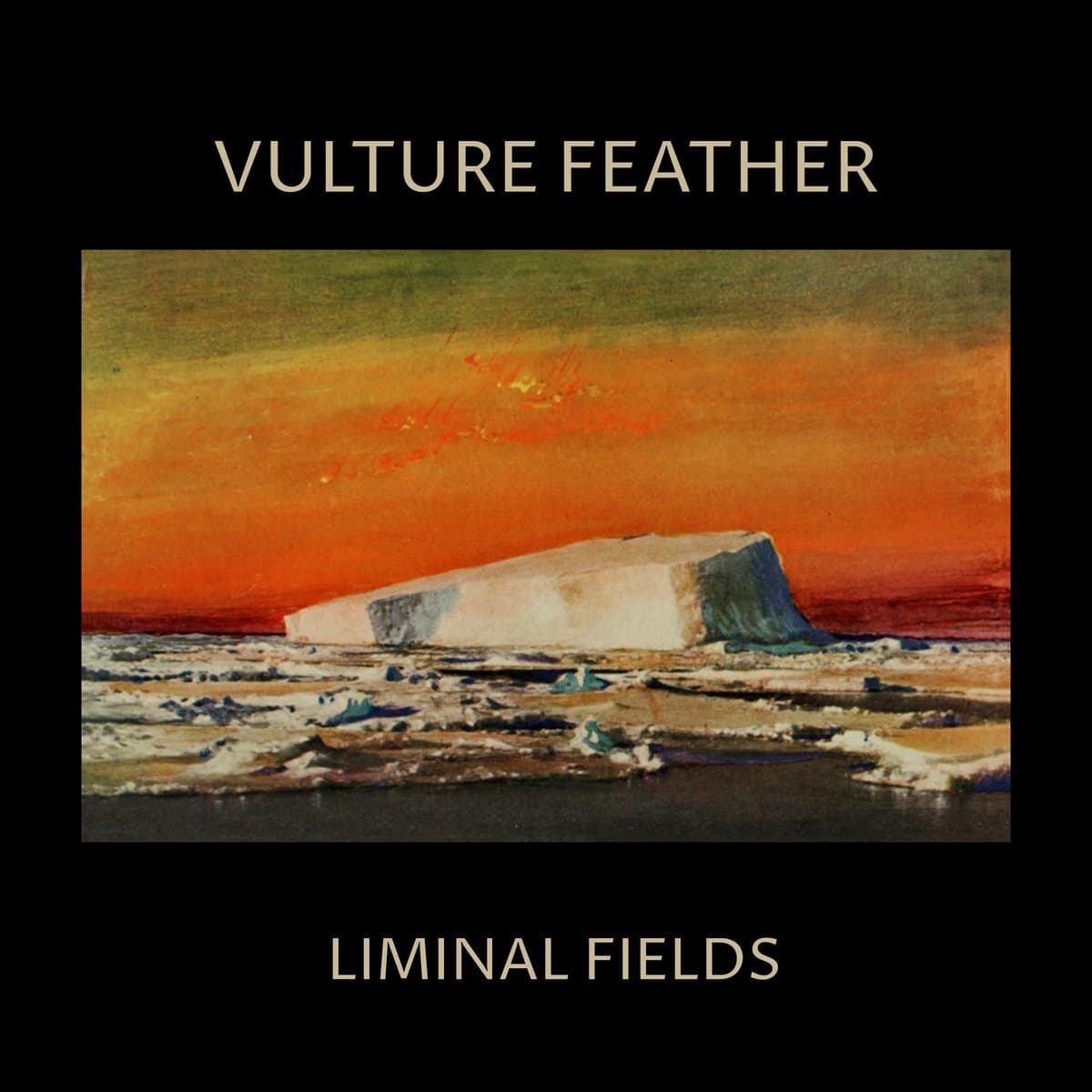 LIMINAL FIELDS — VULTURE FEATHER | Vinilo