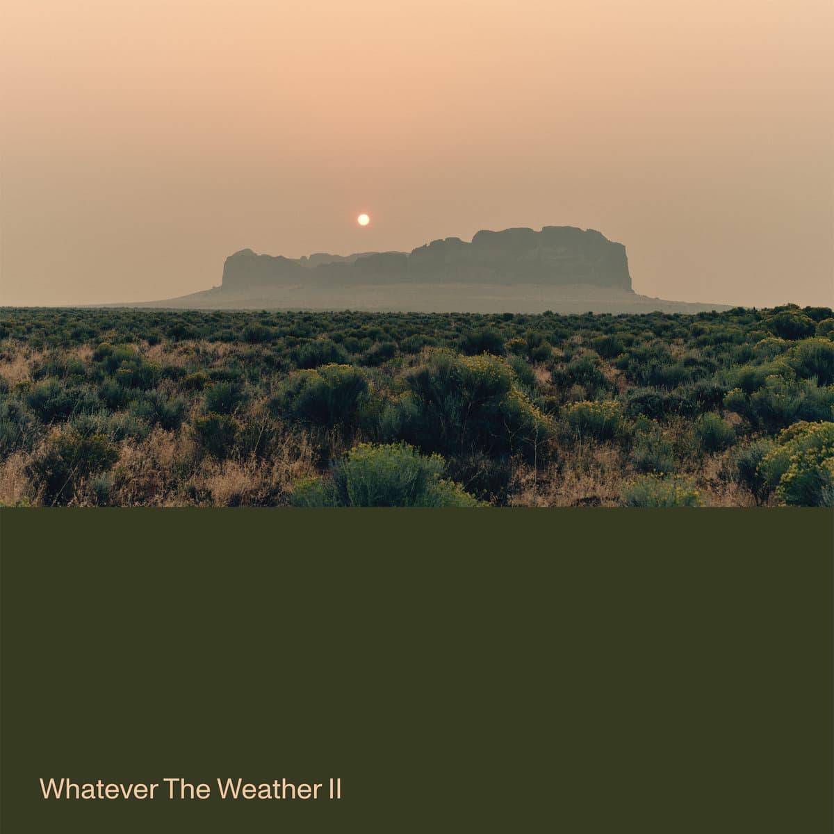 WHATEVER THE WEATHER — WHATEVER THE WEATHER | Vinilo