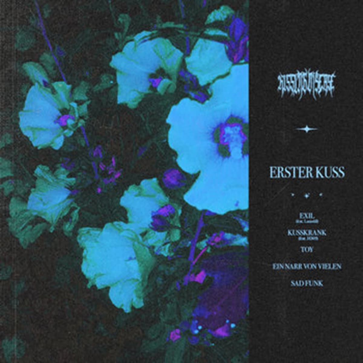Erster Kuss — Kissing Disease | Vinilo