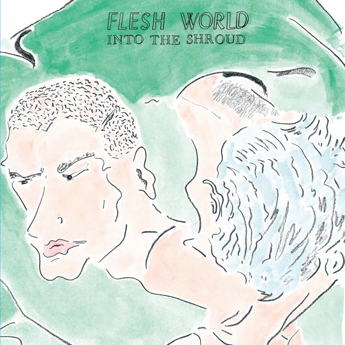 INTO THE SHROUD — FLESH WORLD | Vinilo