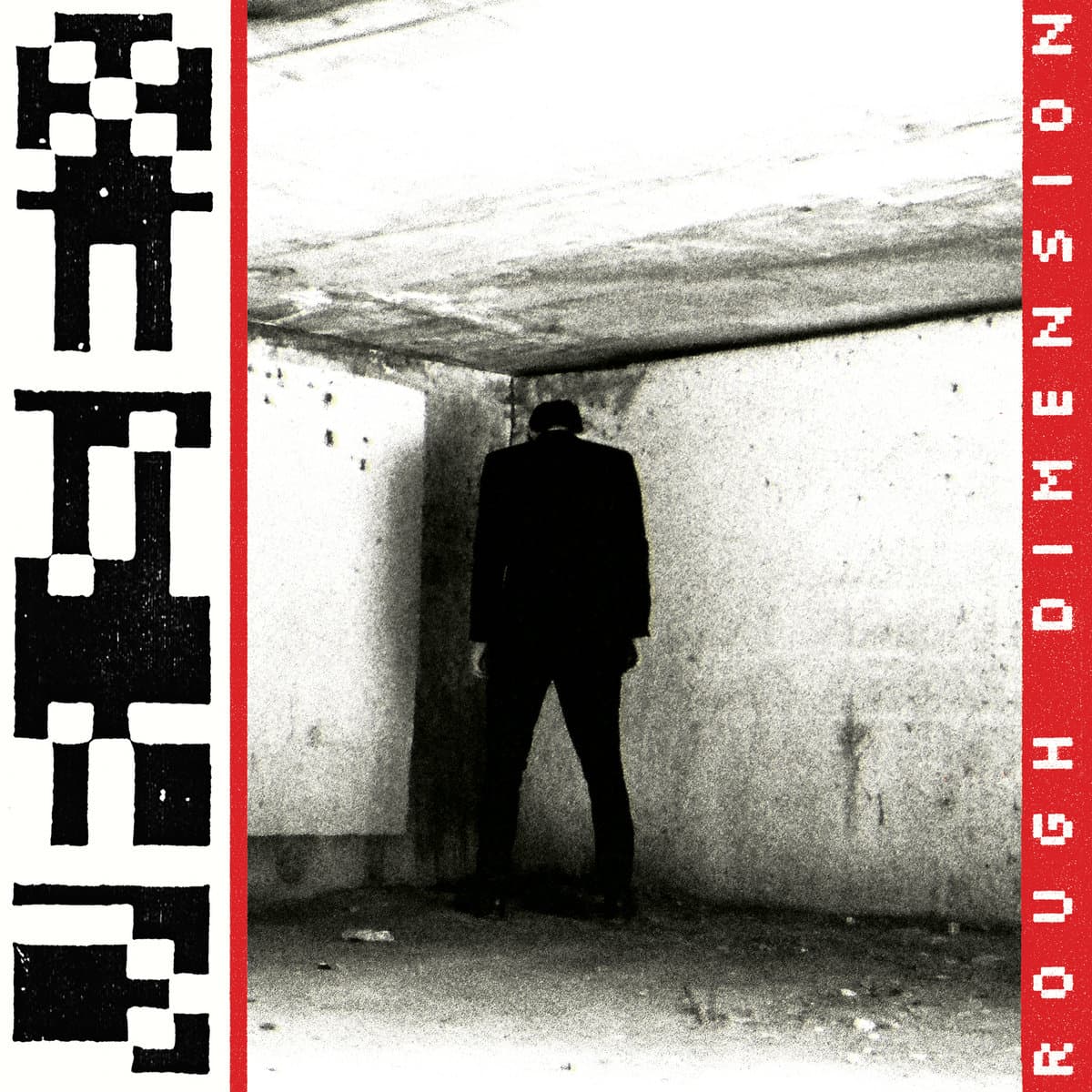 ROUGH DIMENSION — VR SEX | Vinilo